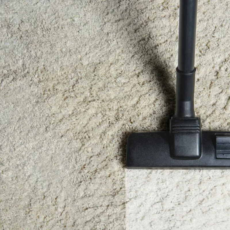 Commercial carpet being cleaned