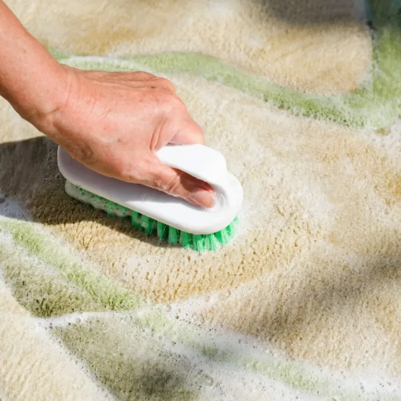 Carpet Cleaning in the north Denver metro