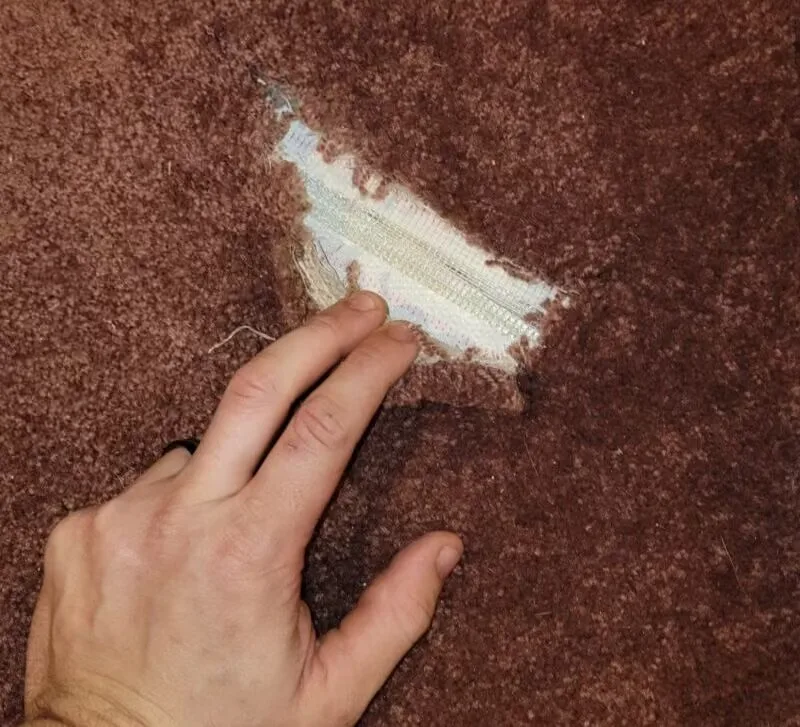 Carpet Repair in the north Denver metro