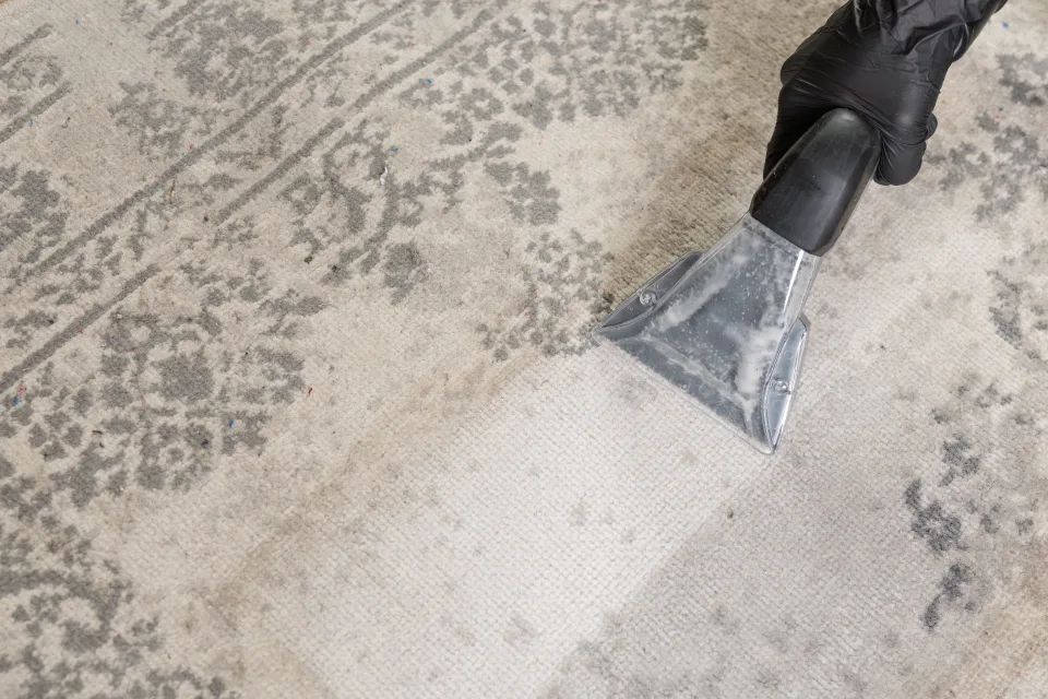 Carpet Cleaning in the north Denver metro