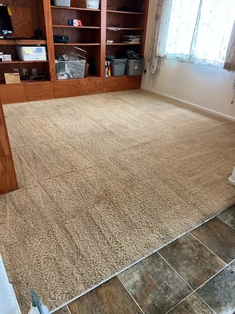 Living room with area rug over carpet