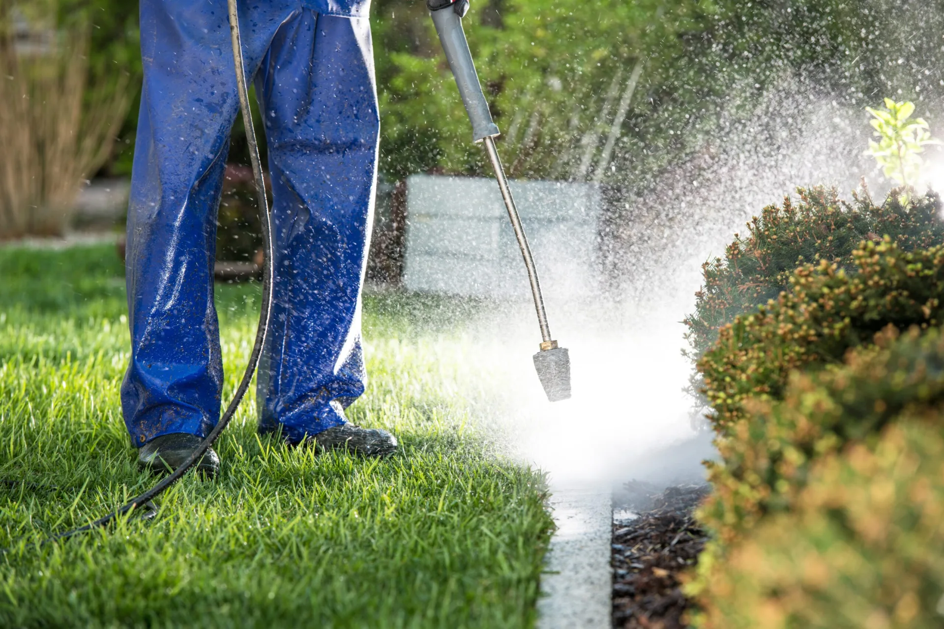 Garden and hardscape elements being cleaned