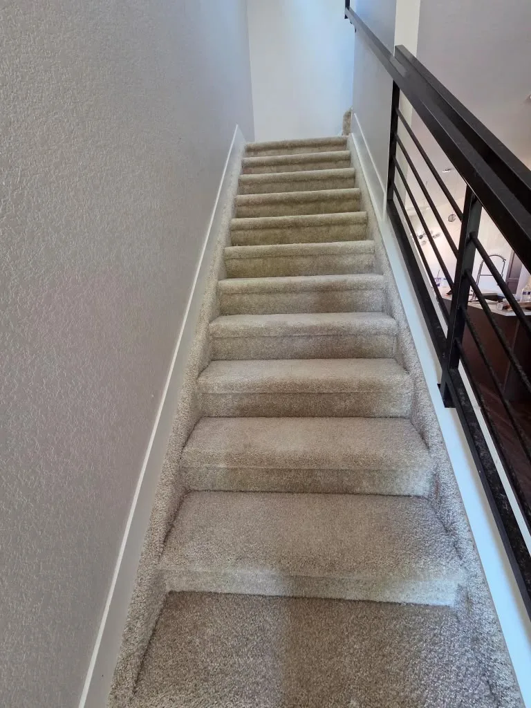 Carpeted stairs in an empty home