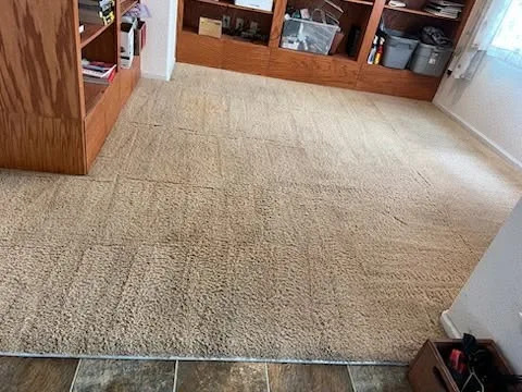 Area rug over carpet in a living room