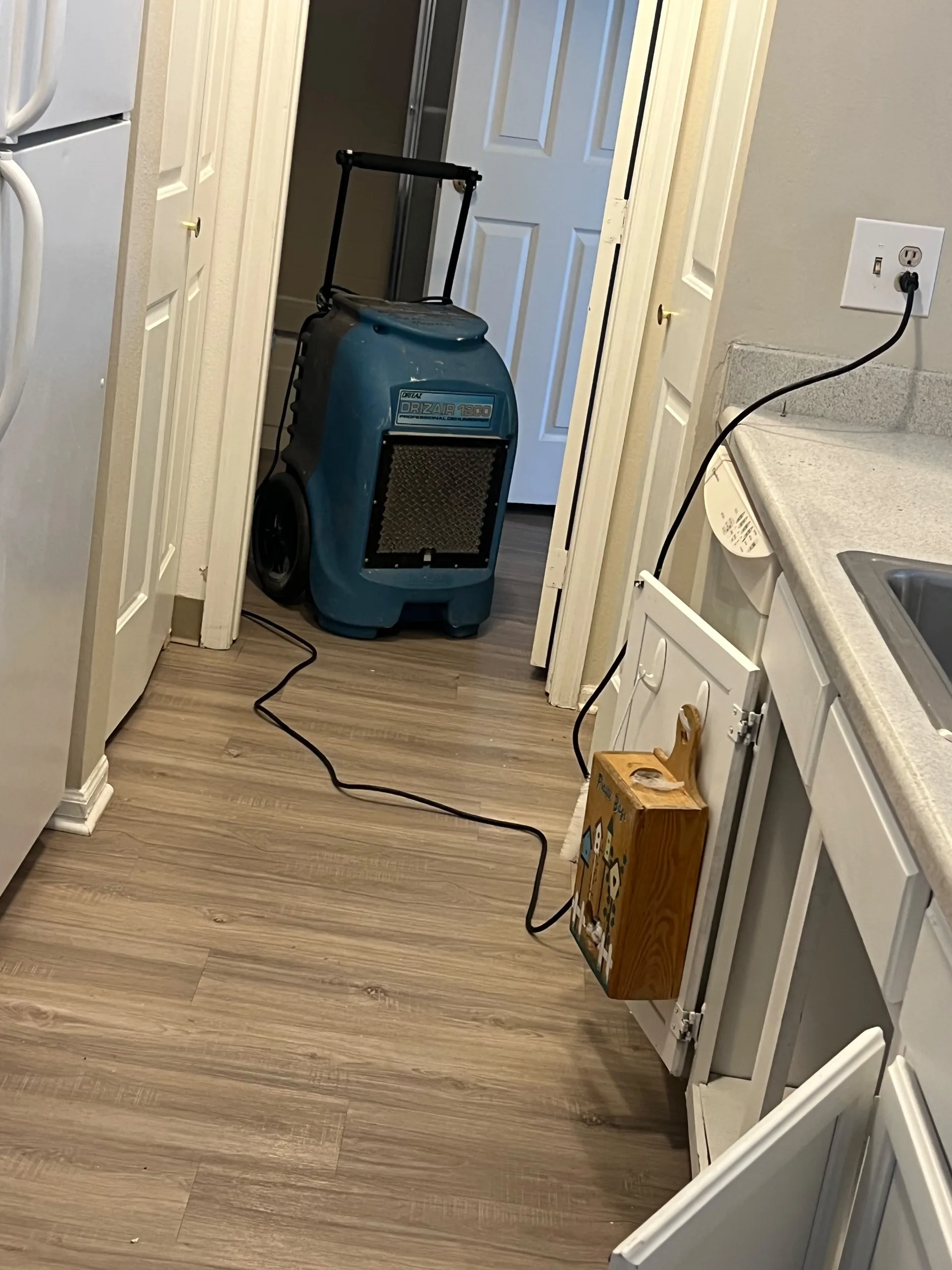 Cleaning equipment set up inside a home