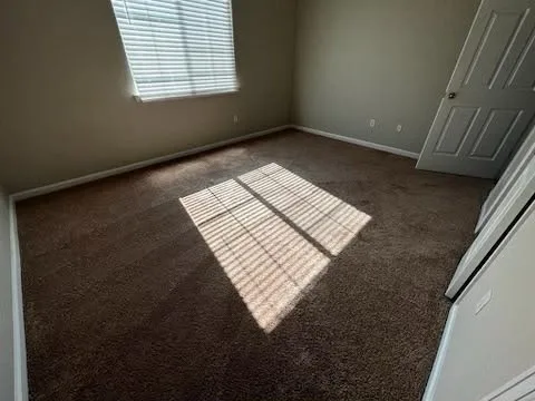Carpeted living room with afternoon light