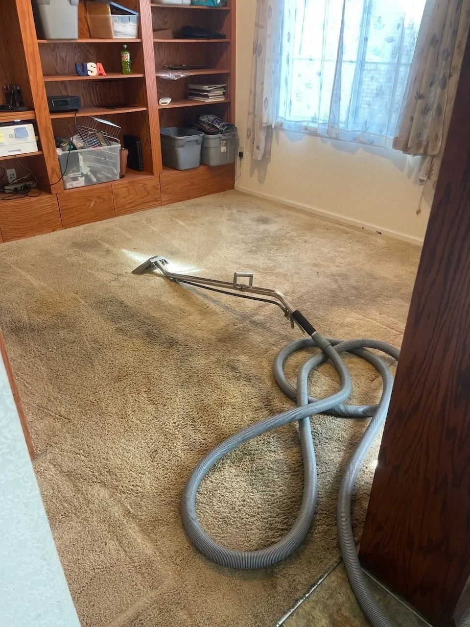 Hot water extraction hose being run across carpet